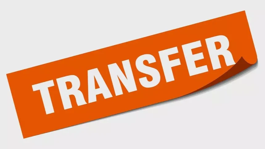 4721913 105.webp.webp