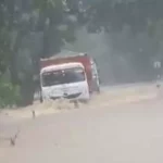 4731085 Untitled 34 Copy.webp.webp