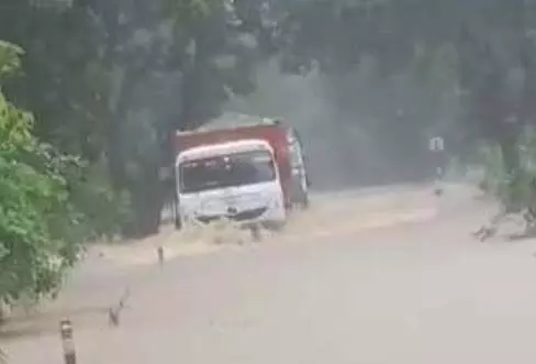 4731085 Untitled 34 Copy.webp.webp