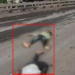 4732268 Untitled 27 Copy.webp.webp