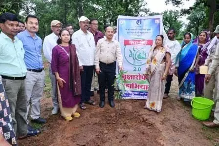 4732371 Untitled 56 Copy.webp.webp