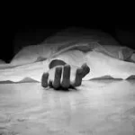 4734882 68.webp.webp