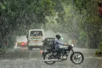 4736464 1 Copy.webp.webp