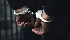 4737295 53.webp.webp