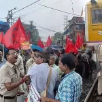 4737414 1 Copy.webp.webp