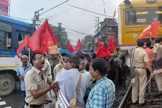 4737414 1 Copy.webp.webp