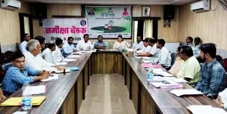 4737529 Untitled 30 Copy.webp.webp