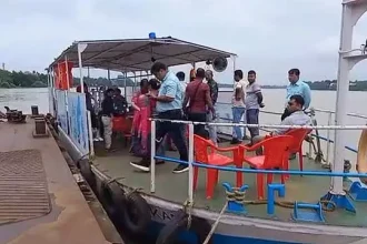 4739991 Untitled 31 Copy.webp.webp