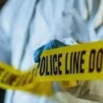 4742306 88.webp.webp