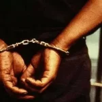 4742346 94.webp.webp