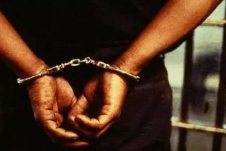 4742346 94.webp.webp