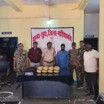 4742442 Untitled 45 Copy.webp.webp