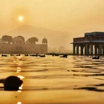 4742644 Untitled 58 Copy.webp.webp