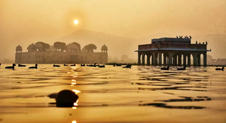 4742644 Untitled 58 Copy.webp.webp