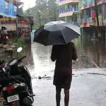 4744700 1 Copy.webp.webp