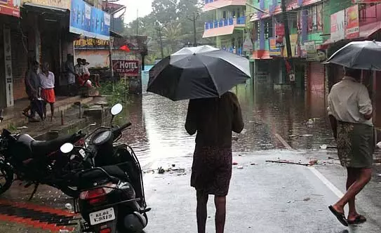 4744700 1 Copy.webp.webp