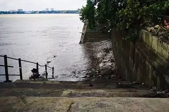 4744703 1 Copy.webp.webp