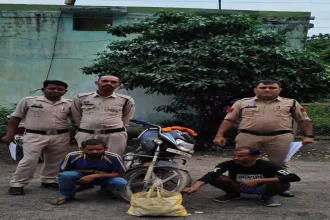 4744816 Untitled 55 Copy.webp.webp