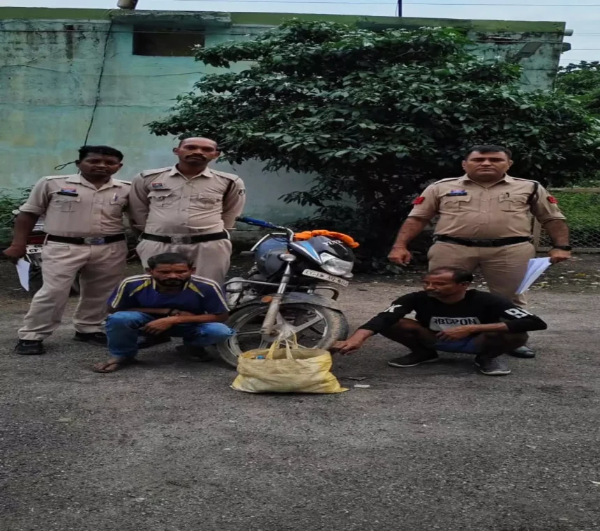 4744816 Untitled 55 Copy.webp.webp