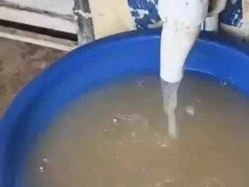 4745392 Untitled 25 Copy.webp.webp