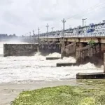 4746935 1 Copy.webp.webp