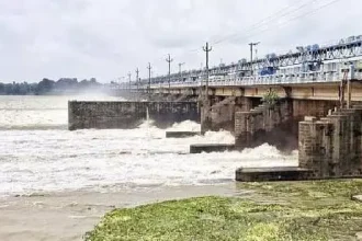 4746935 1 Copy.webp.webp