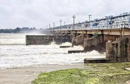 4746935 1 Copy.webp.webp