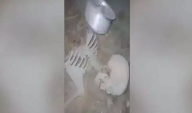 4749174 1 Copy.webp.webp