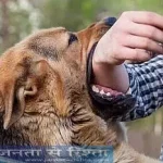 4751483 62.webp.webp