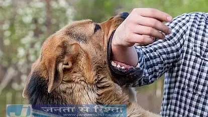 4751483 62.webp.webp