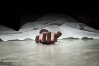 4752774 1 Copy.webp.webp