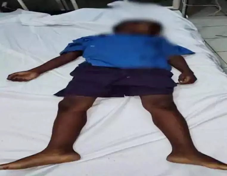 4753343 Untitled 17 Copy.webp.webp