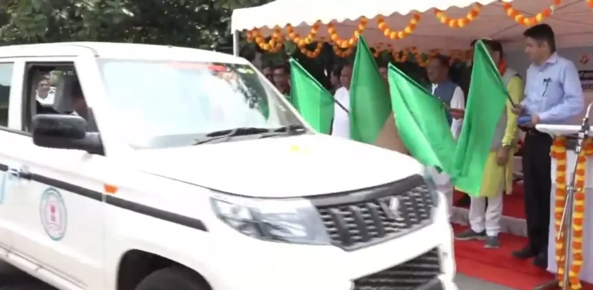 4753771 Untitled 30 Copy.webp.webp