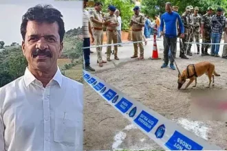 4755560 1 Copy.webp.webp