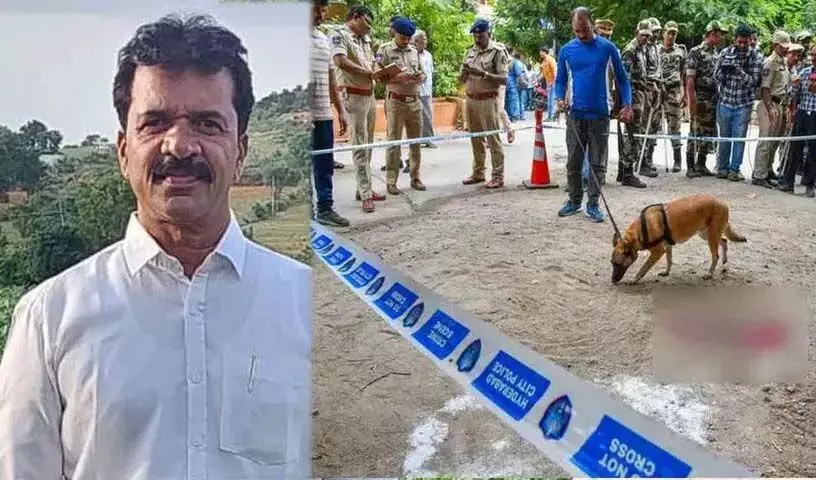 4755560 1 Copy.webp.webp