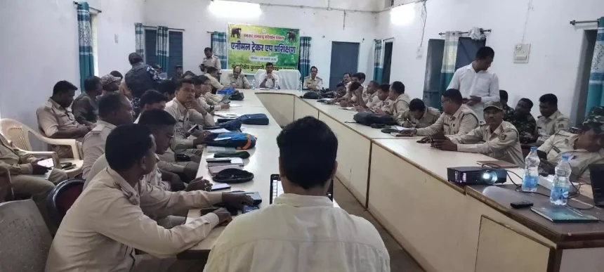 4757908 Untitled 43 Copy.webp.webp