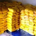 4760277 Untitled 19 Copy.webp.webp