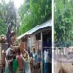 4760296 Untitled 32 Copy.webp.webp