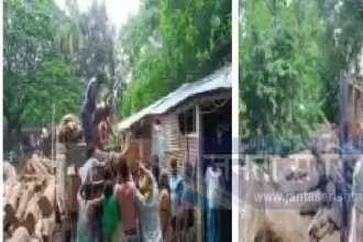 4760296 Untitled 32 Copy.webp.webp