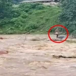 4760312 Untitled 29 Copy.webp.webp