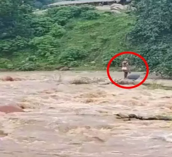 4760312 Untitled 29 Copy.webp.webp