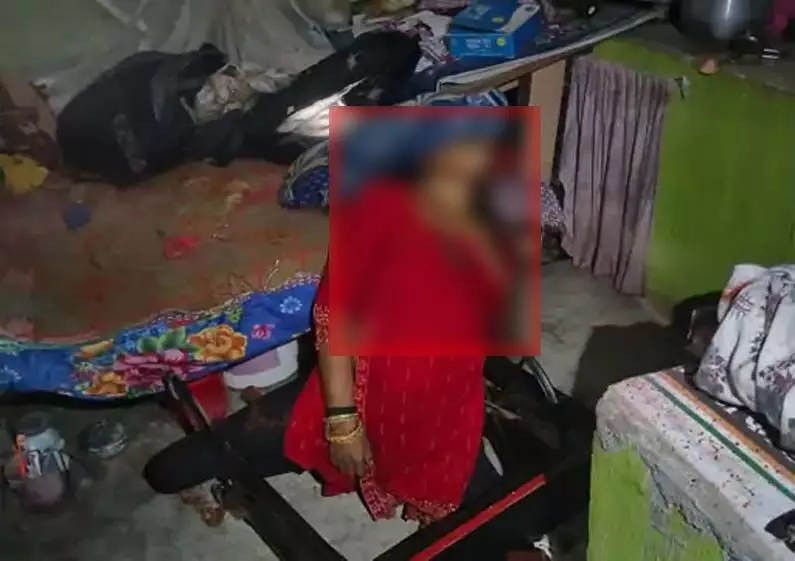 4762583 Untitled 50 Copy.webp.webp