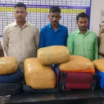 4763767 Untitled 37 Copy.webp.webp