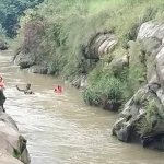 4764322 Untitled 55 Copy.webp.webp