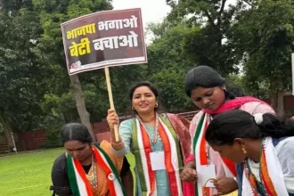 4764807 1 Copy.webp.webp