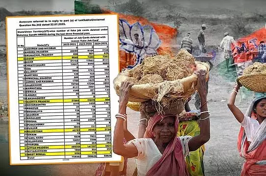 4767216 1 Copy.webp.webp