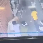 4767229 86.webp.webp