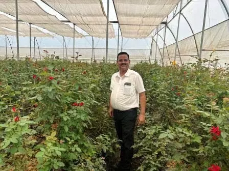 4767368 Untitled 34 Copy.webp.webp