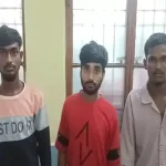 4767900 Untitled 27 Copy.webp.webp