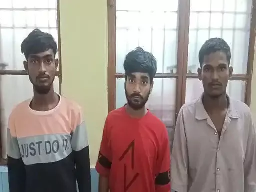 4767900 Untitled 27 Copy.webp.webp